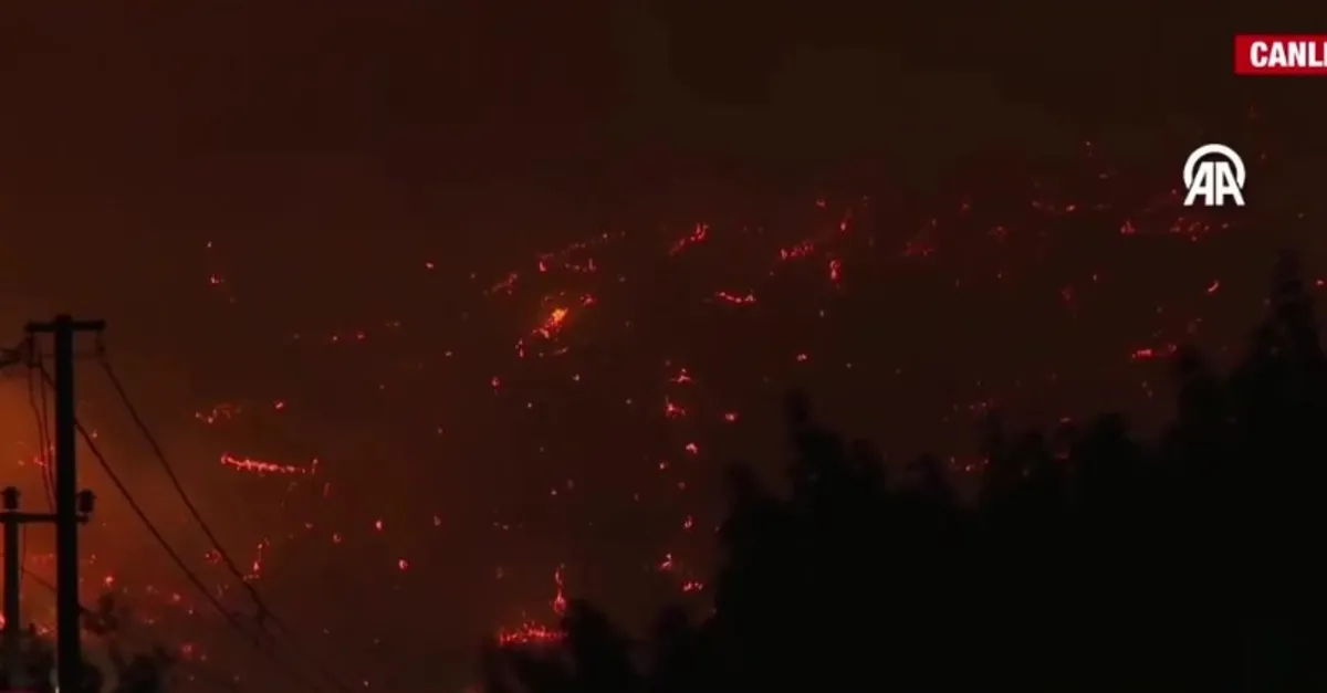 Bursa'da yangın büyüyor!