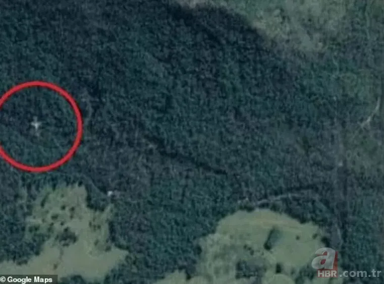 Google Maps’te ortaya çıktı! Avustralya’nın yağmur ormanlarından gelen görüntü kafaları karıştırdı 1