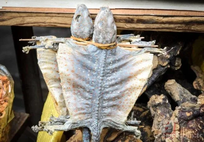 Ne bulsa yiyorlar! İşte koronavirüsün yayıldığı pazar... 2