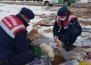 Çöplükteki yaralı köpeğin imdadına jandarma yetişti