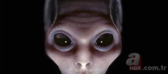 Mars'ta 'Ayı' keşfedildi! NASA o görüntüleri paylaştı 14