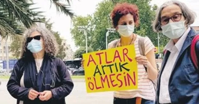 Adalar’da atları korumak için kurulan platform: İBB atları geri getirsin