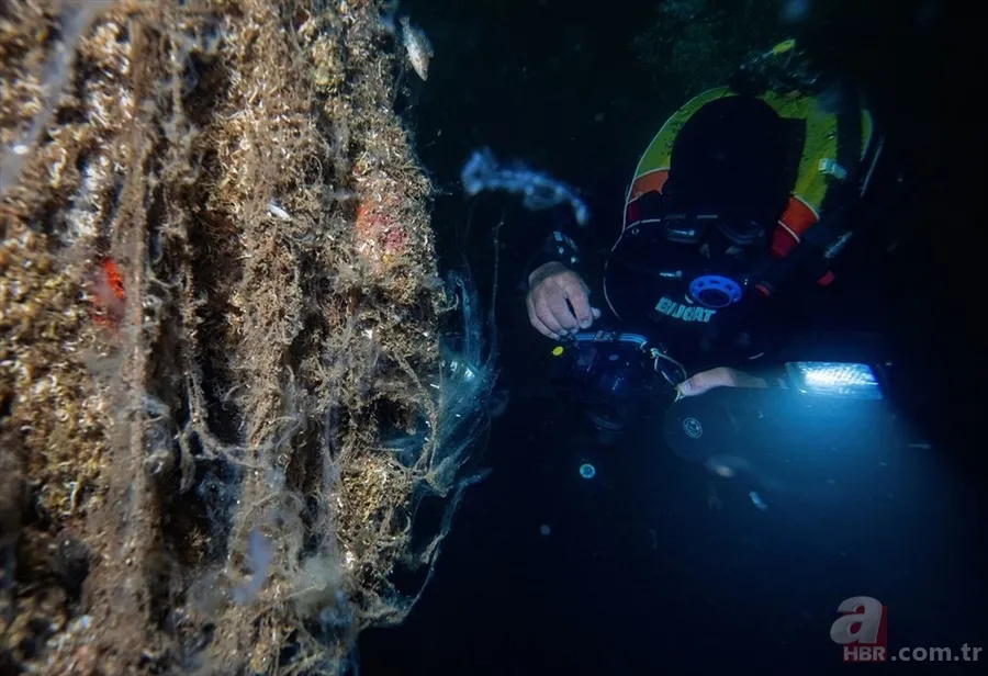 Deniz salyası ABD basınında: Marmara ölüyor! Çevre profesöründen kritik uyarı geldi 17