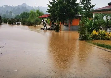 Ordu'da dereler taştı, hayvanlar telef oldu