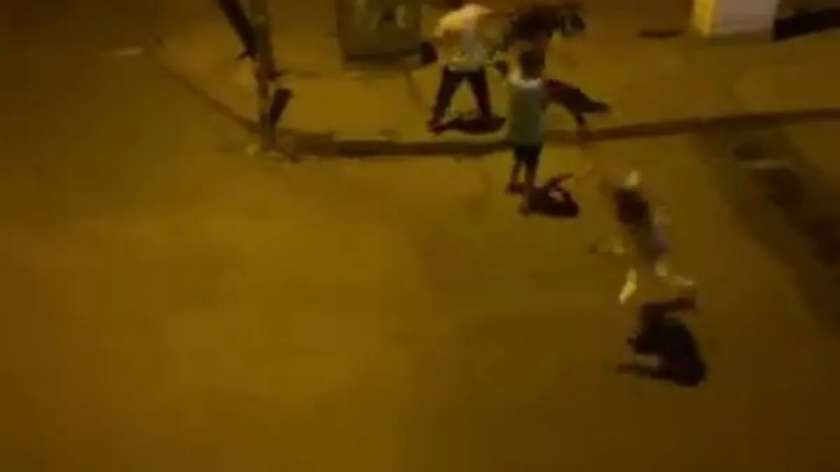 Kavga ettiği kişiye kaldırım taşıyla saldırdı! O anlar kameraya böyle yansıdı