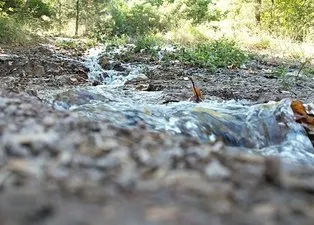 Balıkesir’de şaşırtan görüntü! Sındırgı depremi sonrası ortaya çıktı