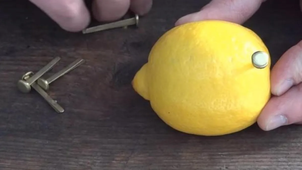 Rus mühendis limon ile bakın ne yaptı Herkesi şaşırtan deney