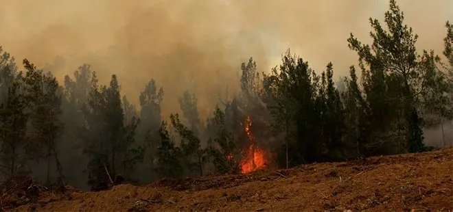 Hatay’daki orman 2 gündür yanıyor