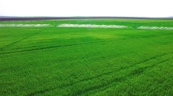 Tarım ve Orman Bakanı Bekir Pakdemirli’den TİGEM Ceylanpınar Sulama Projesi açılışında flaş açıklamalar