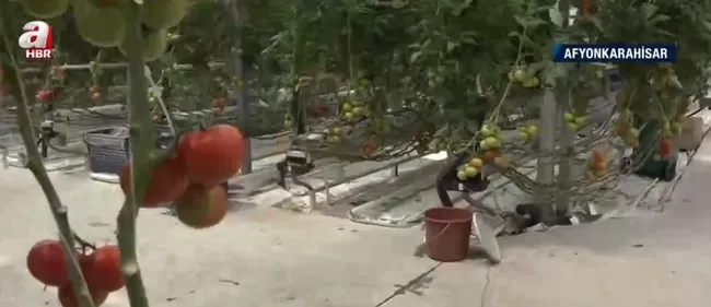 İş garantili burslu okul! Hem teorik hem de uygulamalı eğitim alıyorlar