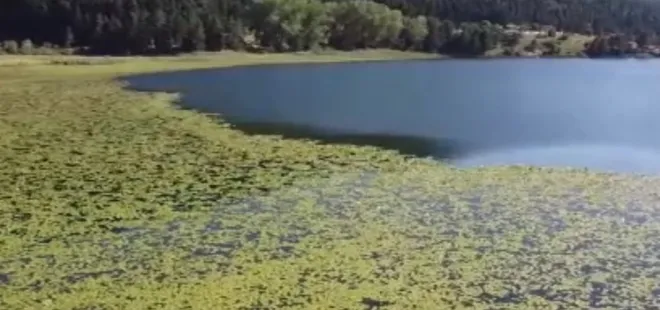 Bolu son 94 yılın en sıcak gününü yaşadı!