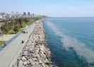 İstanbul’da yine ortaya çıktı! Sahili sardı
