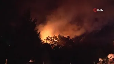 Beykoz’da ormanlık alanda yangın