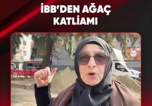 İBB'DEN AĞAÇ KATLİAMI