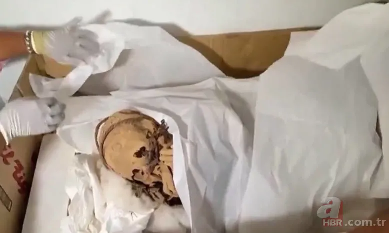 Tam 330 yıl önce ölmüştü! Mezarı kazılınca cesedi görenler şaşkına döndü 11