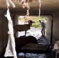 Türk kovboy sosyal medyayı salladı