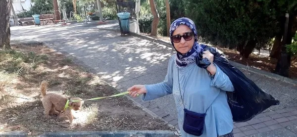 Ağaç düşmanı CHP’li İBB! Bölge halkı alev püskürdü: Beşiktaş’ta oksijensiz kaldık