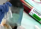 DSÖden corona virüs için aşı açıklaması