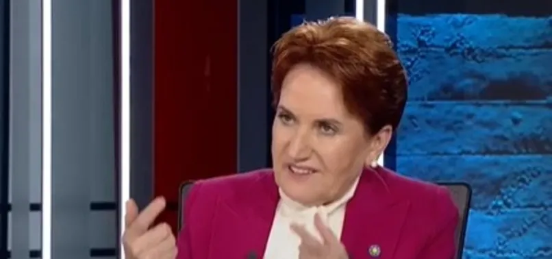 Türkiye'nin kayıp yılları olan koalisyon hükümetlerine Meral Akşener'den övgü: Vatandaşın en rahat ettiği yer koalisyonlardır