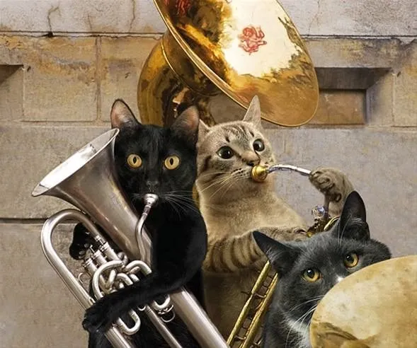 2011 takvimi için kedi orkestrası