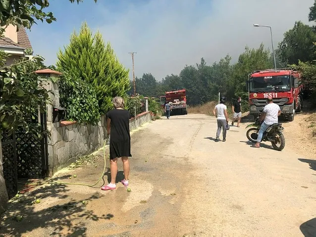 Bursa'da orman yangını çıktı! Olayla ilgili bir kişi gözaltına alındı - 3