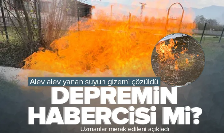 Depremin habercisi mi?