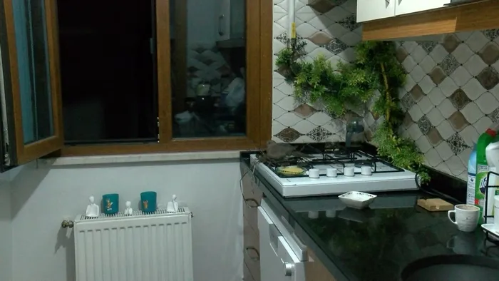 Sancaktepe'de kumru evlerine yuva yaptı 4 gündür mutfağa girmiyorlar - 2