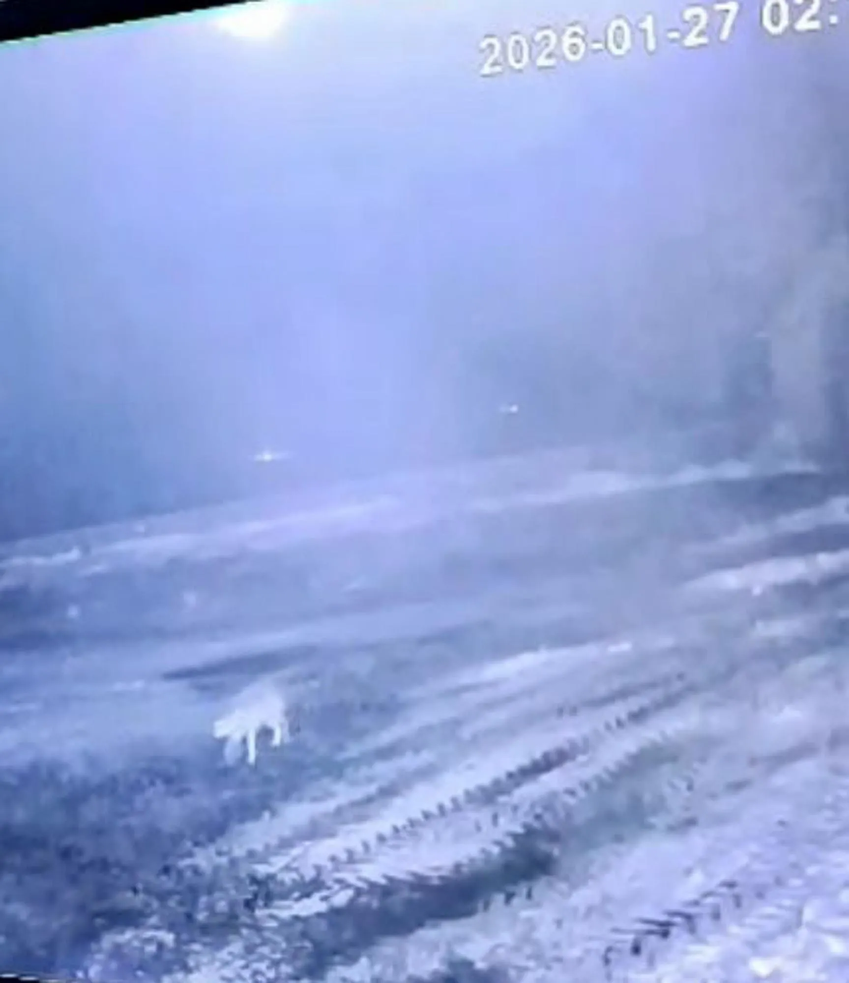 Köye inen kurt 200 koyunu telef etti! Sabah gördüğü manzara karşısında şoke oldu