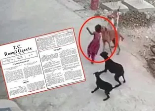 Başıboş sokak köpeği terörüne neşter! Düzenleme Meclis’e geliyor | Atatürk dönemindeki Resmi Gazete’de sokak köpeği sorununa itlaflı çözüm