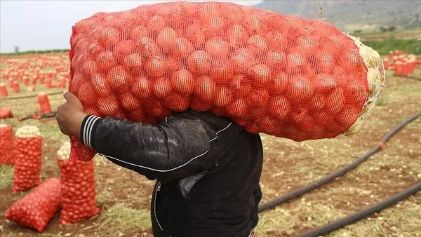 Soğan ve patates nasıl bu rakamlara geldi? Oynanan oyun aynı - 4