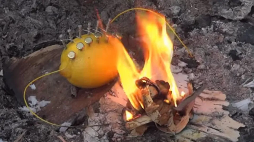 Rus mühendis limon kullanarak öyle bir şey yaptı ki!