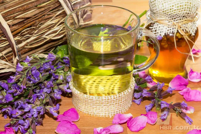 Kış hastalıklarından koruyan besinler 25