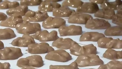 Kaliteli bir çikolata nasıl olmalı?