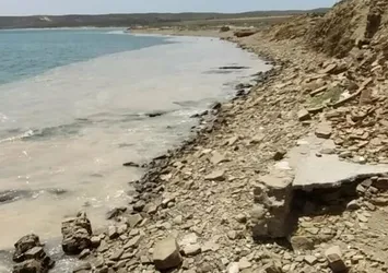 Deniz salyası paniği! Yunanistan'a da sıçradı