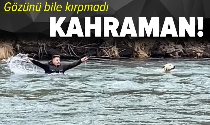 Tunceli’de köpeği kurtarmak için gözünü bile kırpmadan buz gibi suya atladı