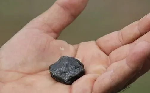 1684836930636.jpg Almanya’da Türk ailenin başına resmen servet yağdı! Bahçelerine düşen gök taşının fiyatı dudak uçuklattı - 5