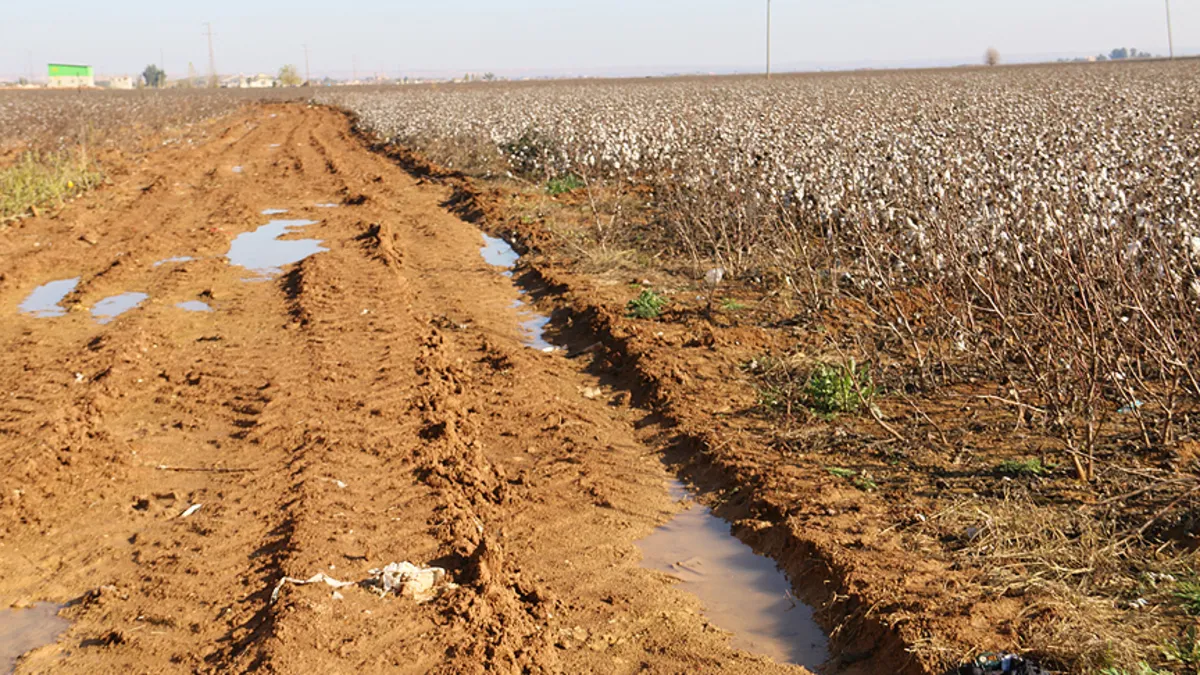 Tarlaya dijital doktor geliyor! Çiftçiye yapay zeka desteği