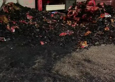 Mangal kömürü yüklü tır alev alev yandı