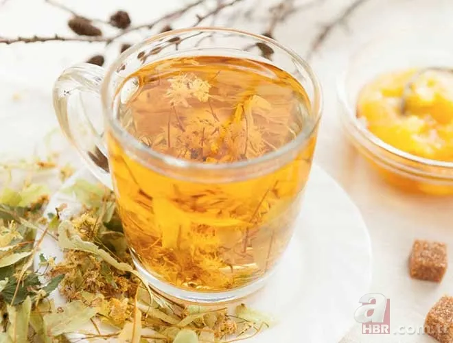 Adaçayı... Ihlamur... Kuşburnu... Hepsi doğal şifa deposu! Hangi bitki çayı neye iyi geliyor? İşte yanıtı... 11