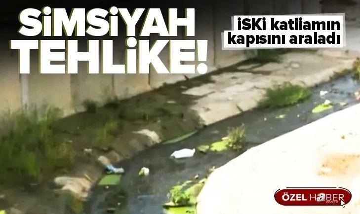 Derede kimyasal atık tehlikesi! İSKİ’nin ıslah çalışması yaptığı dere simsiyah akıyor