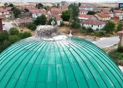 Cami kubbesi leyleklere yuva oldu!