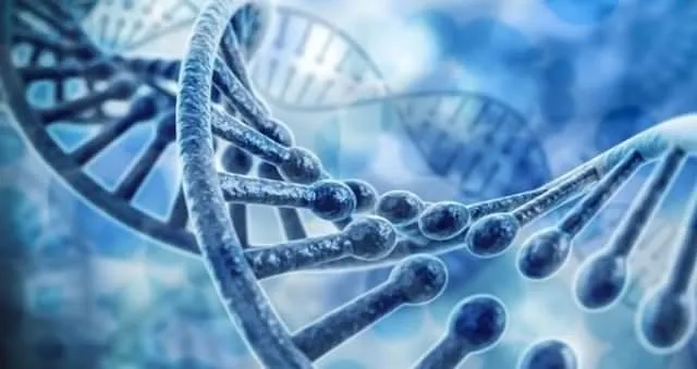 Türk doktorları yeni bir gen keşfetti