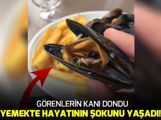 DoÄada ürperten anlar