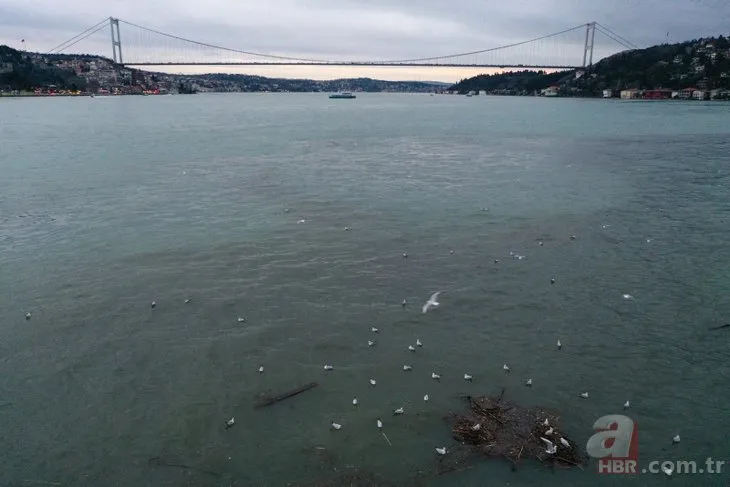 Yağmur sonrası İstanbul Boğazı ve Haliç çamura bulandı! Dere ve lağım suları denize karıştı