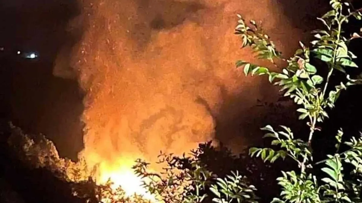 Yalova'da korkutan orman yangını 2 kişi gözaltında