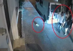 Bursa'da gürültü değil dehşet evi: Gece havlayan köpekler sabahları saksı yağmuru!