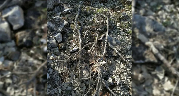 Mardin’de MİT ve jandarma teröristlerin inlerine girdi