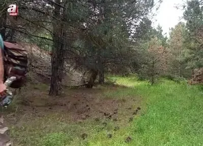 Yaban hayatını kayıt altına alıyor
