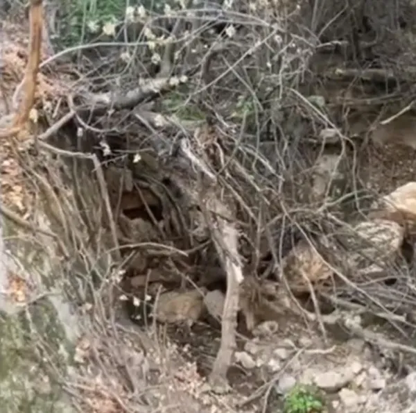 Şırnak ve Diyarbakır’da PKK’ya darbe! Kırmızı kategorideki terörist öldürüldü
