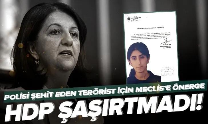 HDP şaşırtmadı: Mersin’de polisi şehit eden terörist için Meclis’e önerge